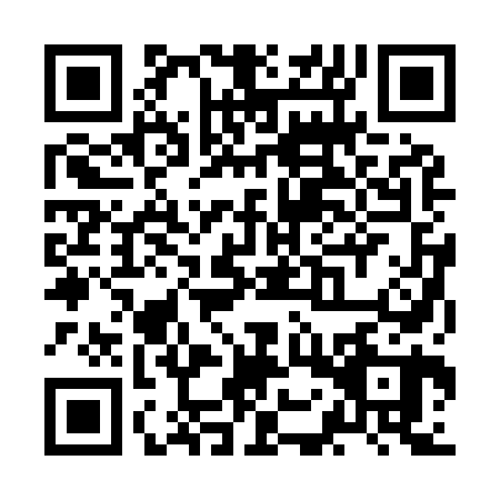 QR code for ZOR9601