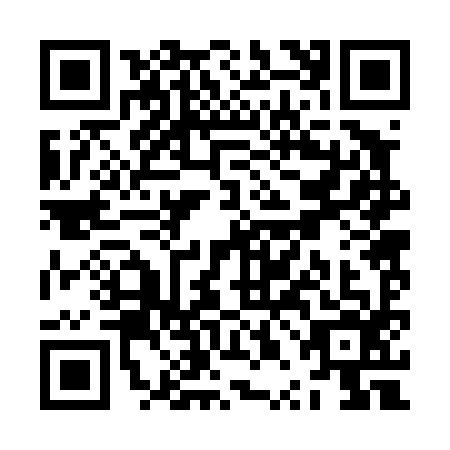 QR code for ZPB4966