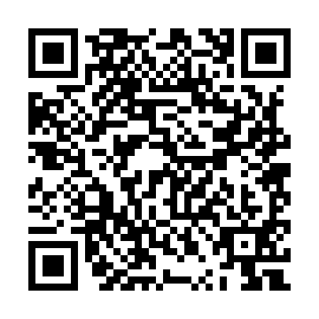 QR code for ZPB9916