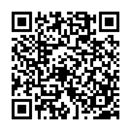 QR code for ZPI2463