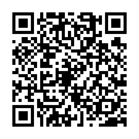 QR code for ZPL6290