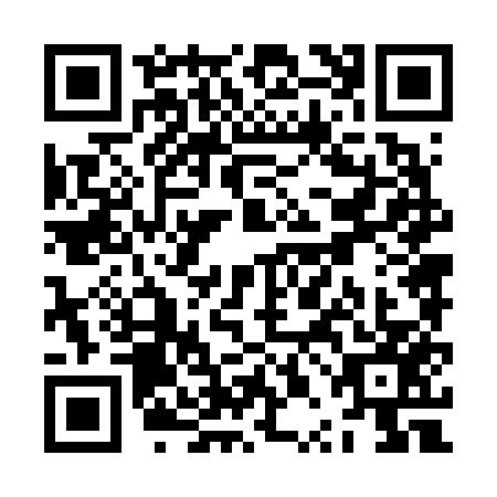QR code for ZPN6579