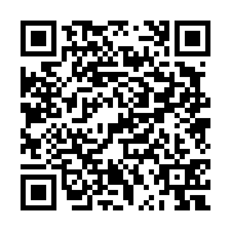 QR code for ZPP4313