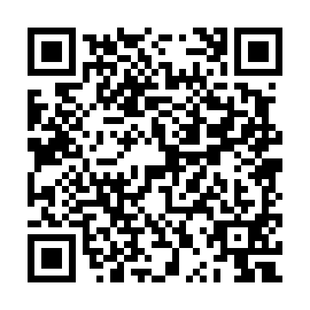 QR code for ZPP4911