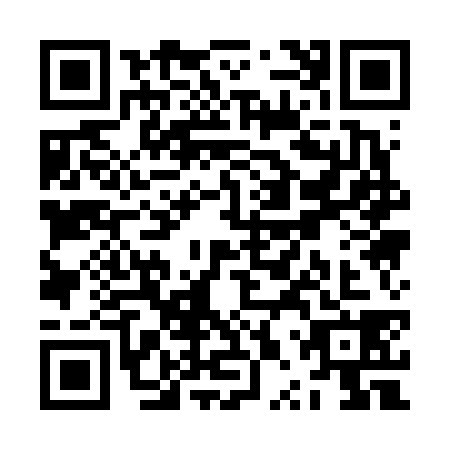 QR code for ZPQ6385