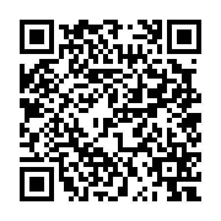 QR code for ZPW0653