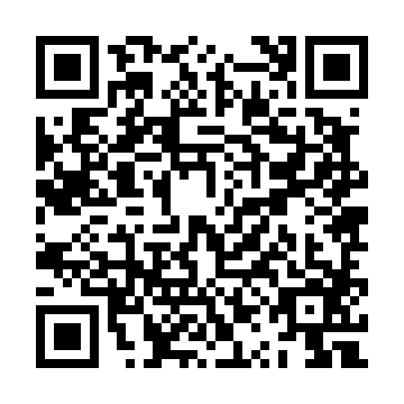 QR code for ZQJ4869