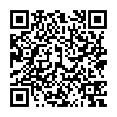 QR code for ZRI9383