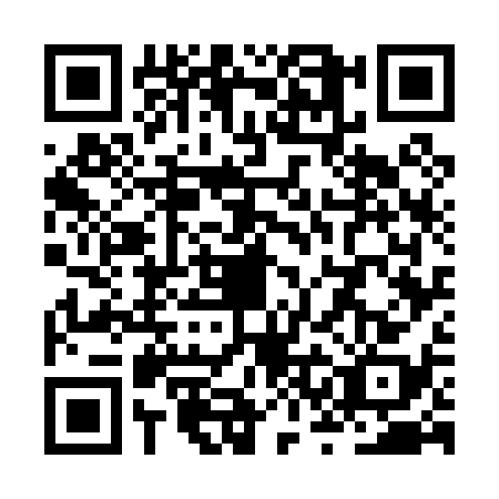 QR code for ZSG0384