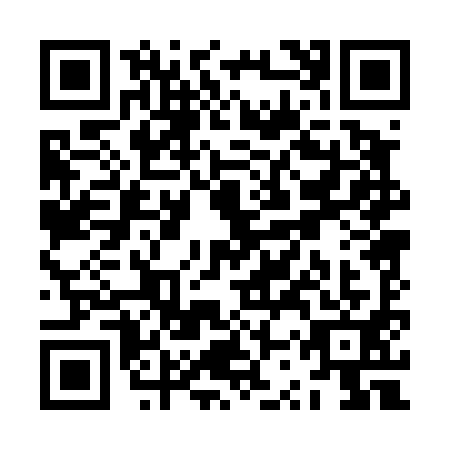 QR code for ZSP4919