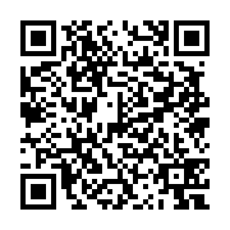 QR code for ZSQ4398