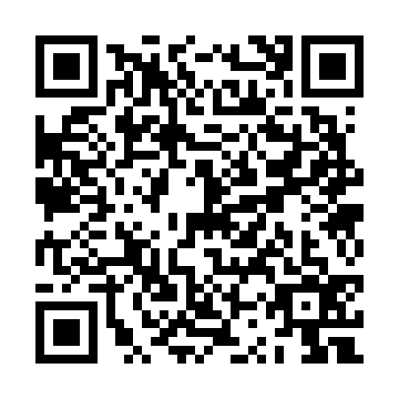 QR code for ZSS6369
