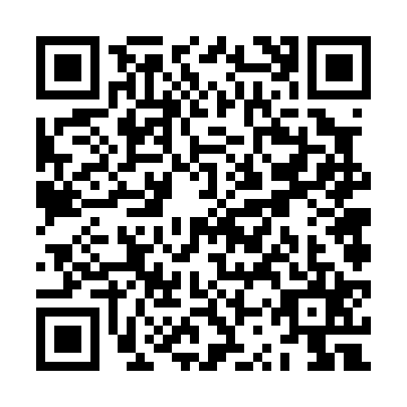 QR code for ZSV0253