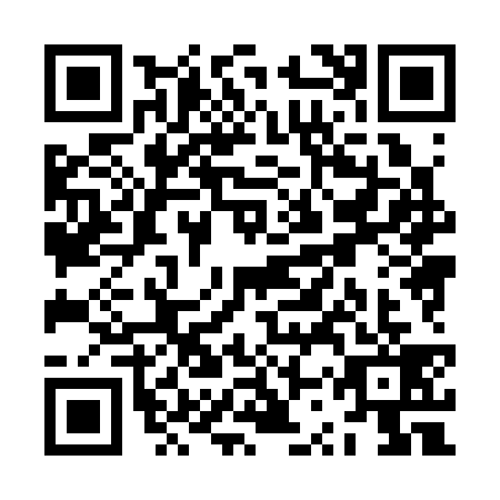 QR code for ZSX3393