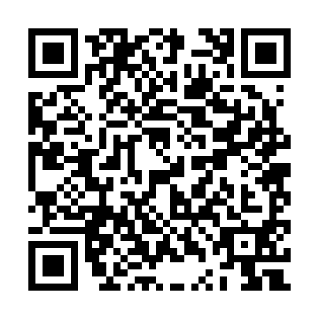 QR code for ZTB2904