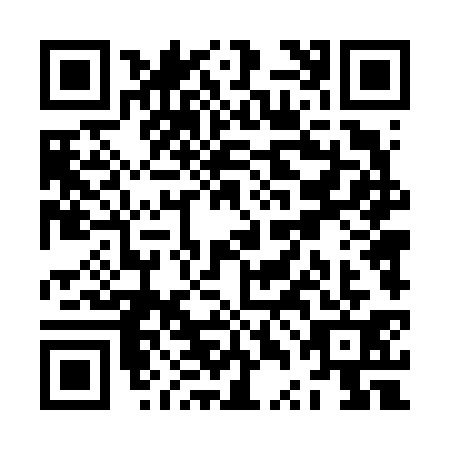QR code for ZTD6313