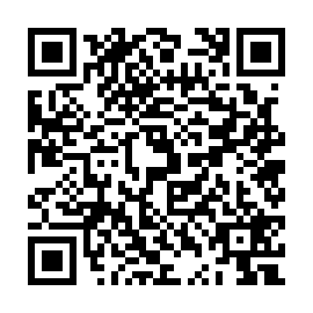 QR code for ZTG1293