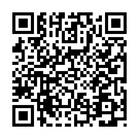 QR code for ZTH5424