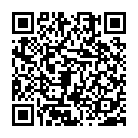 QR code for ZTI2196