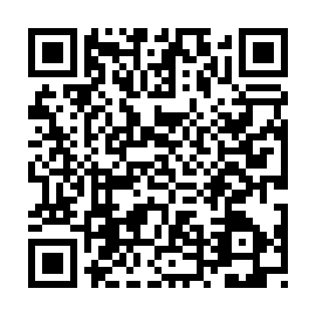 QR code for ZTL0374