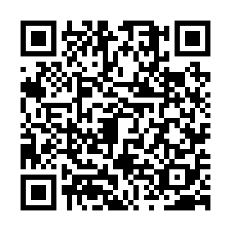 QR code for ZTN2587
