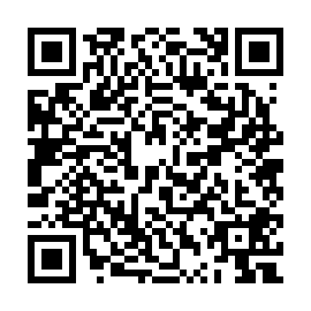 QR code for ZTR2085
