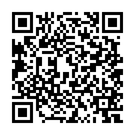 QR code for ZTR4411