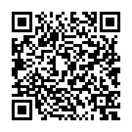QR code for ZTT9336