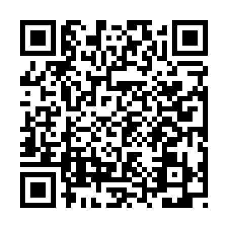 QR code for ZUZ0393