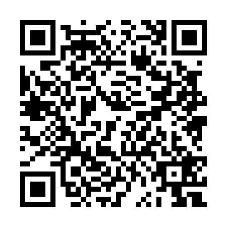 QR code for ZVH0299