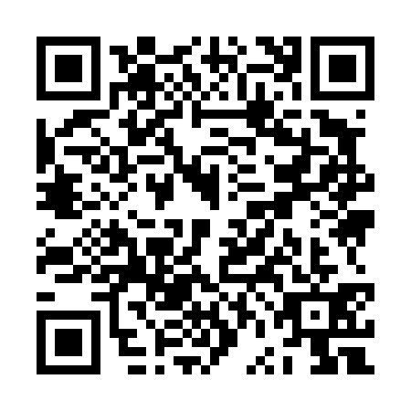 QR code for ZVI4313