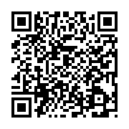 QR code for ZVI8379