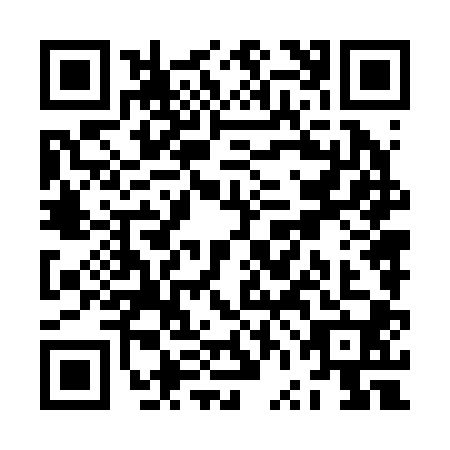 QR code for ZVN2007