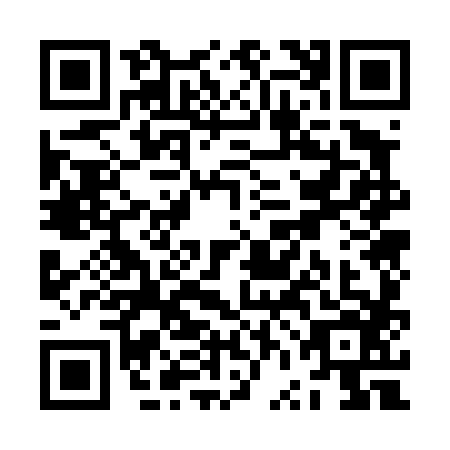 QR code for ZVO4863
