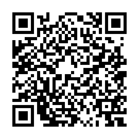 QR code for ZVP3510