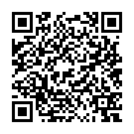 QR code for ZVR1337