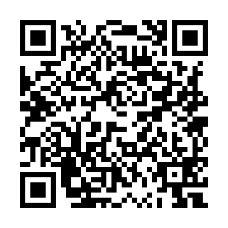 QR code for ZVS9991