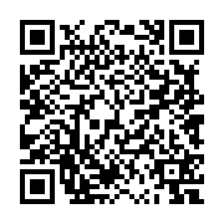 QR code for ZVT8213