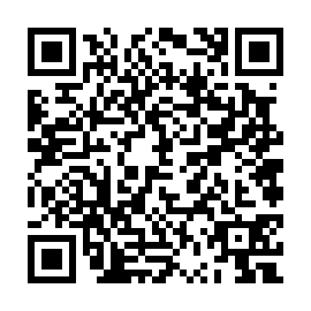 QR code for ZVV0307