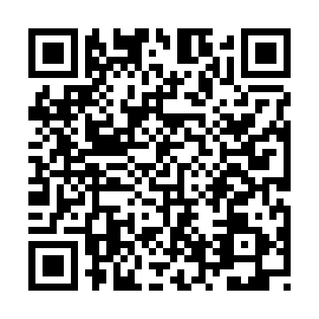 QR code for ZVX2919
