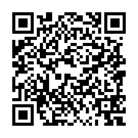 QR code for ZVX5981
