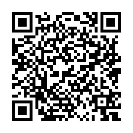 QR code for ZVX9206