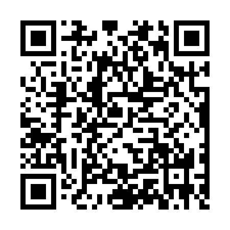 QR code for ZWG1381