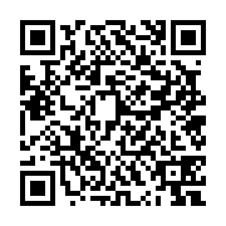 QR code for ZXG0386