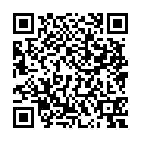 QR code for ZXH4309