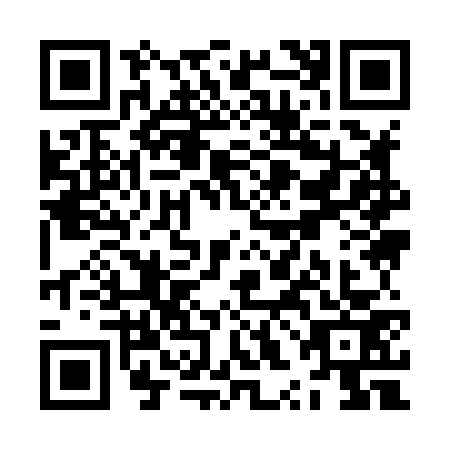 QR code for ZXI8738