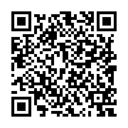 QR code for ZXL9133