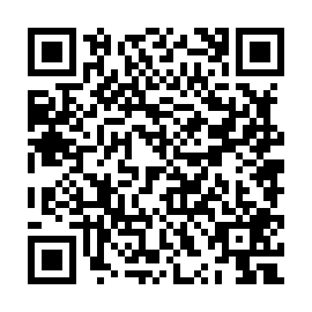 QR code for ZXN8096