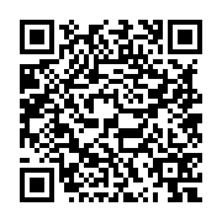 QR code for ZXR8768