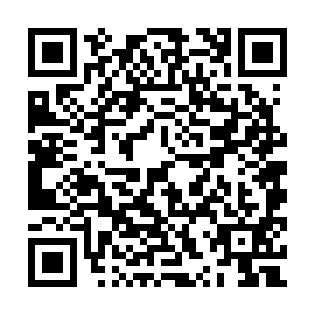 QR code for ZXV2919